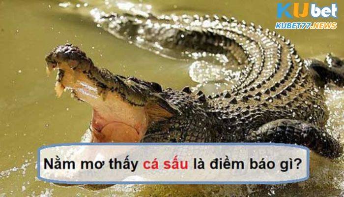 Cá sấu là một loài bò sát hung dữ
